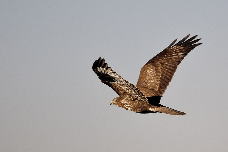 Ho voglia d''aria, esco a farmi un giro